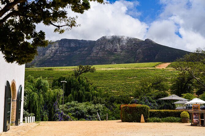 Cape Town: Constantia Wine Route Tour - From Cape Town to the Franschhoek Wine Valley