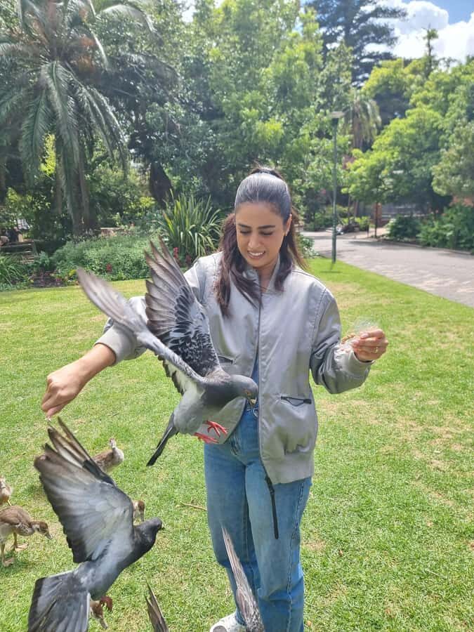 Cape Town: Culinary Walking Tour with Food Tastings - Should You Book This Cape Town Culinary Walking Tour?