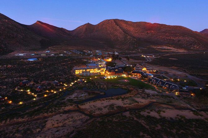 Cape Town Day Safari - A 6:00 a.m. start that makes the day feel efficient
