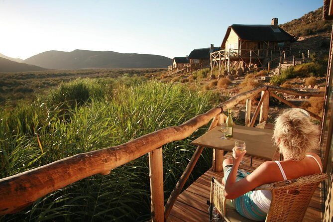 Cape Town Day Safari - Price and value: what you’re paying for at $260.16