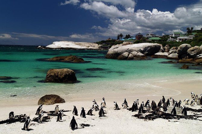 Cape Town Day Tours - Why this Cape Peninsula loop works without the headache