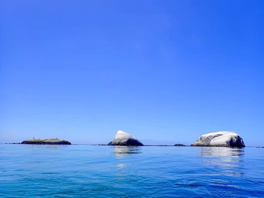 Cape Town: Discover Scuba Diving - 1 day experience - Key things that make this experience worth your time