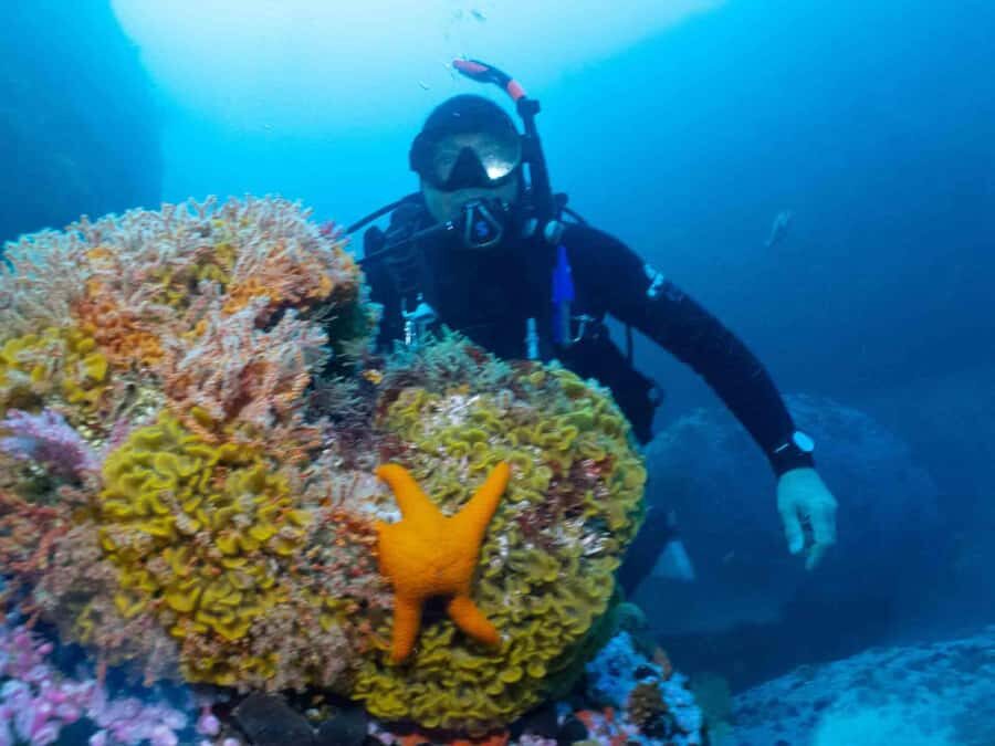 Cape Town: Discover Scuba Diving - 1 day experience - What to bring (and what to skip) so the day feels easy