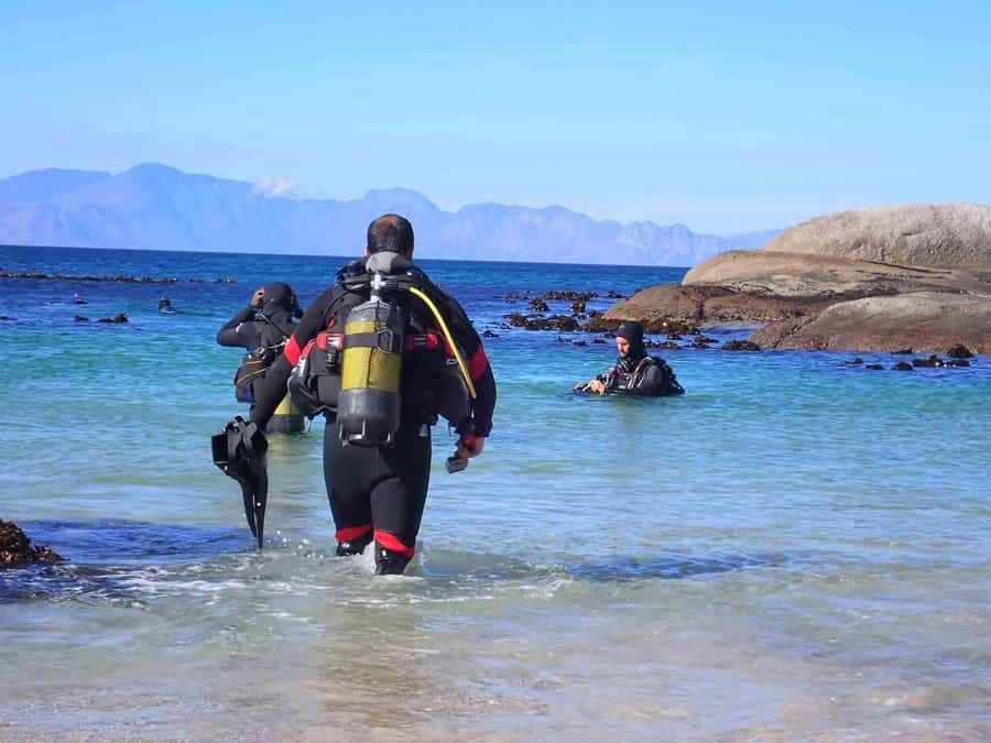 Cape Town: Discover Scuba Diving - 1 day experience - Why a beginner underwater trial in Simon’s Town feels unusually manageable