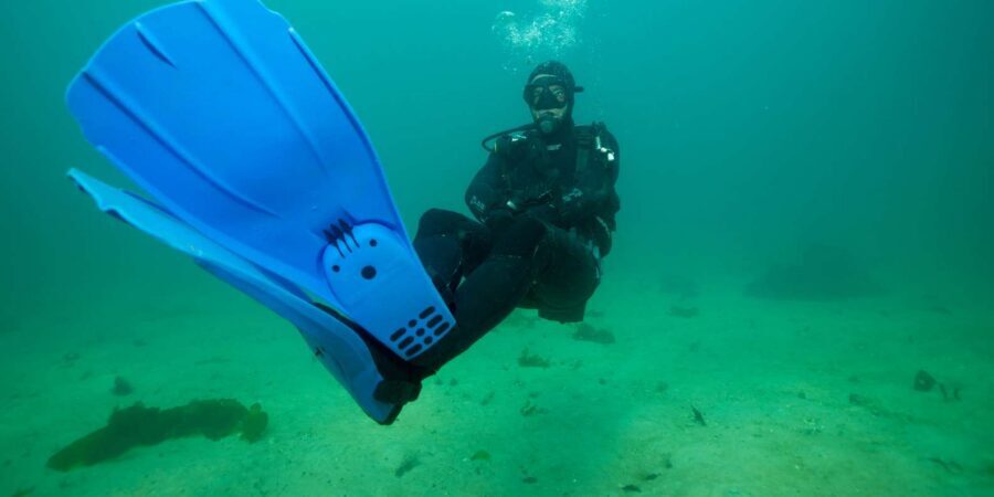 Cape Town: Discover Scuba Diving - 1 day experience - What you’ll likely see: octopus, kelp forests, and the joy of protected water