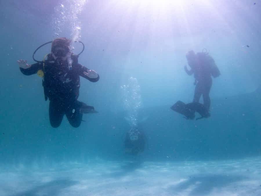 Cape Town: Discover Scuba Diving - 1 day experience - Price and value: is $155 a smart bet?