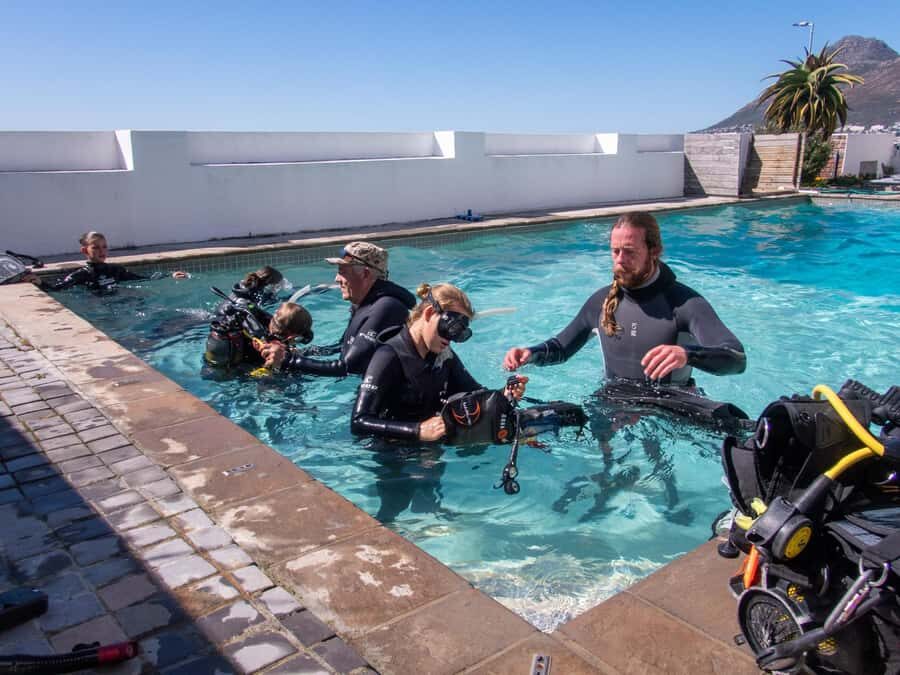 Cape Town: Discover Scuba Diving - 1 day experience - Getting from Cape Town to the Simon’s Town base: what the timing means