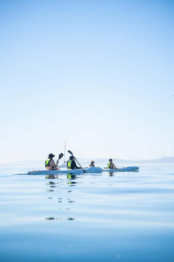 Cape Town: Dolphin & Ocean Wildlife Kayaking Adventure ⚓️ - Views that make the paddle worth it even on a quiet wildlife day