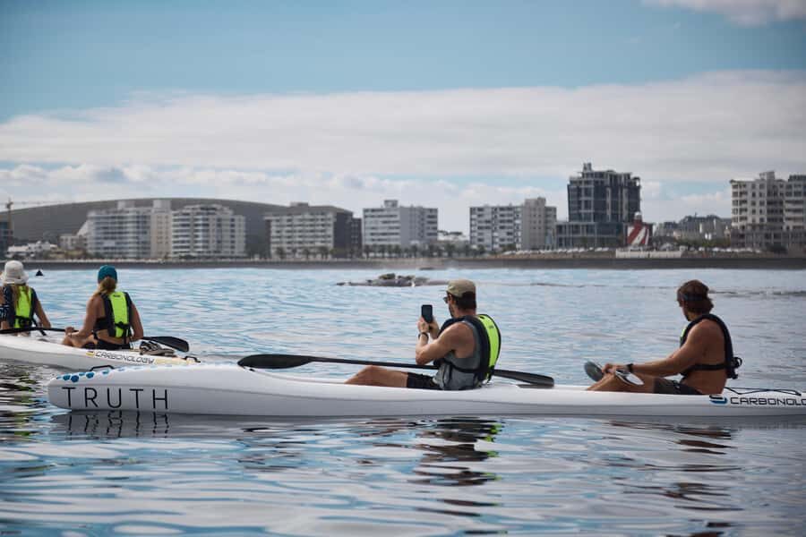 Cape Town: Dolphin & Ocean Wildlife Kayaking Adventure ⚓️ - Practical tips so you enjoy the paddle more