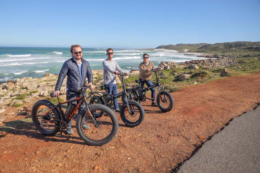 Cape Town: E-Bike Cape Peninsula Tour - Key Highlights at a Glance
