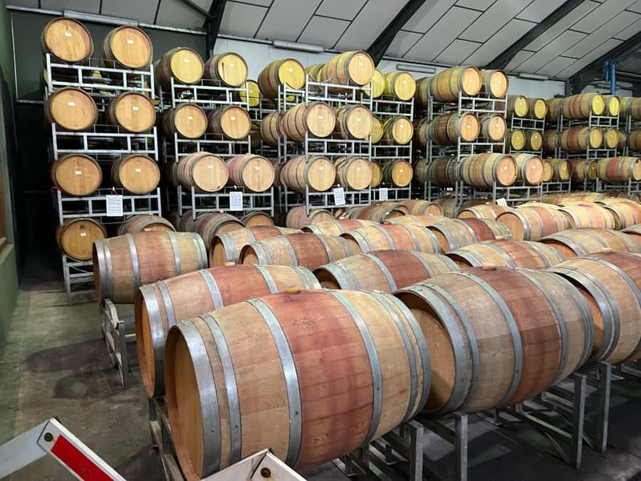 Cape Town: Franschhoek and Wine Tram Tour - Packing Checklist: Simple Things That Save You on Wine Tours