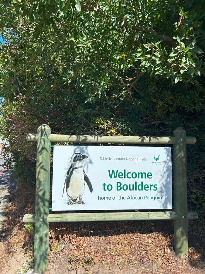 Cape Town: Full Day Cape of Good Hope with Penguins Tour - Boulders Beach Penguin Colony: Making the Most of 40 Minutes