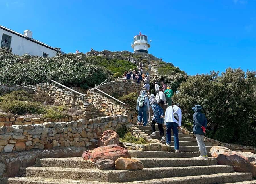 Cape Town: Full Day Cape of Good Hope with Penguins Tour - Chapman’s Peak Drive: The Detour That Changes the Day