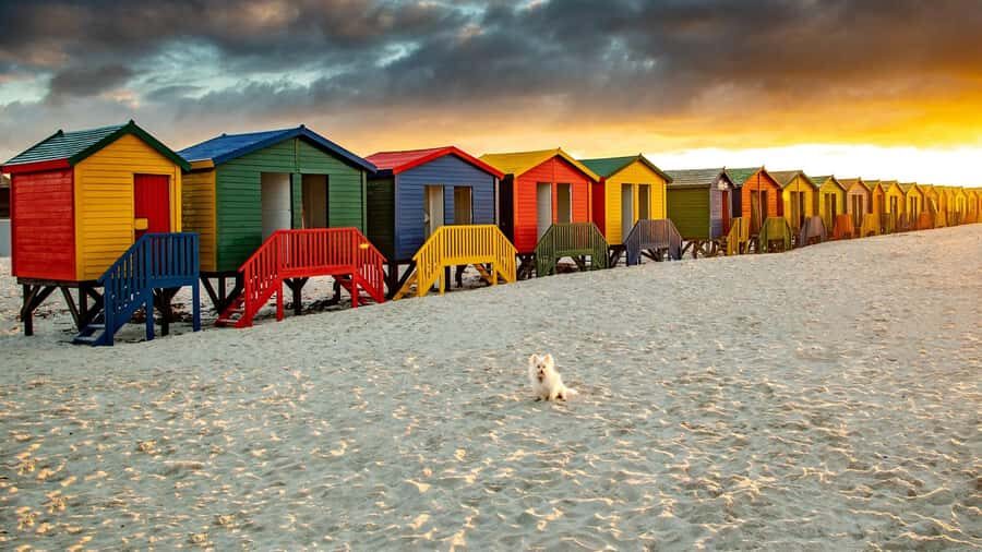 Cape Town: Full-Day Cape Peninsula Tour with Transfers - Cape Town to the Peninsula’s Edge: The Route You’ll Actually Drive