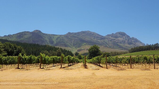 Cape Town Full Day Family Fun With Kids Private Tour - Key things worth knowing before you go