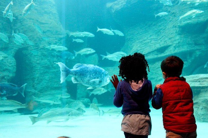 Cape Town Full Day Family Fun With Kids Private Tour - Stop 5: Spice Route Destination for an easy lunch win