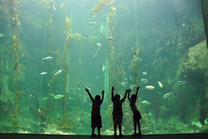 Cape Town Full Day Family Fun With Kids Private Tour - Stop 1: Two Oceans Aquarium at the V&A Waterfront