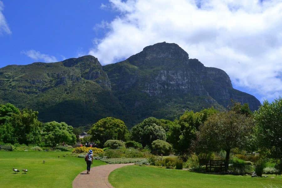 Cape Town: Full-Day Kirstenbosch, Bo-Kaap, and Penguins Tour - Chapmans Peak Drive: the curvy road that does the heavy lifting
