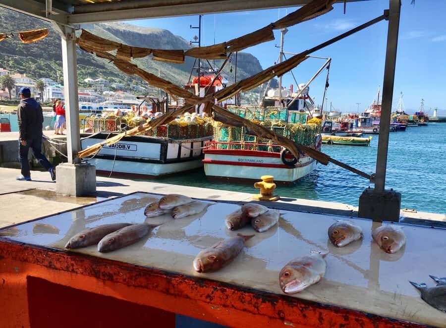 Cape Town: Full-Day Private Tour with Cape Point & Penguins - Cape of Good Hope: Where the Big Tip Energy Starts