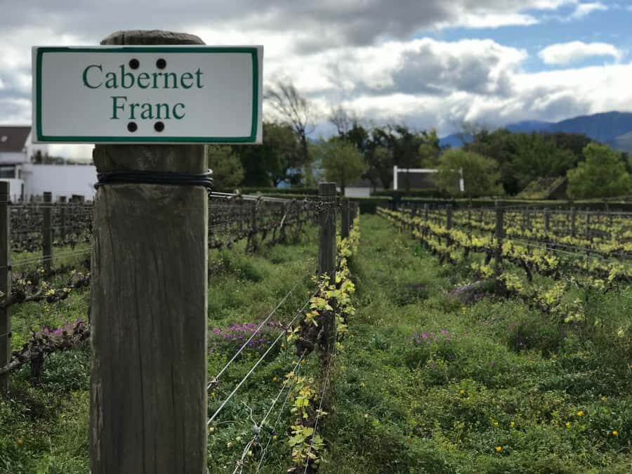 Cape Town: Full-Day Stellenbosch and Franschhoek Wine Tour - Key points to know before you go