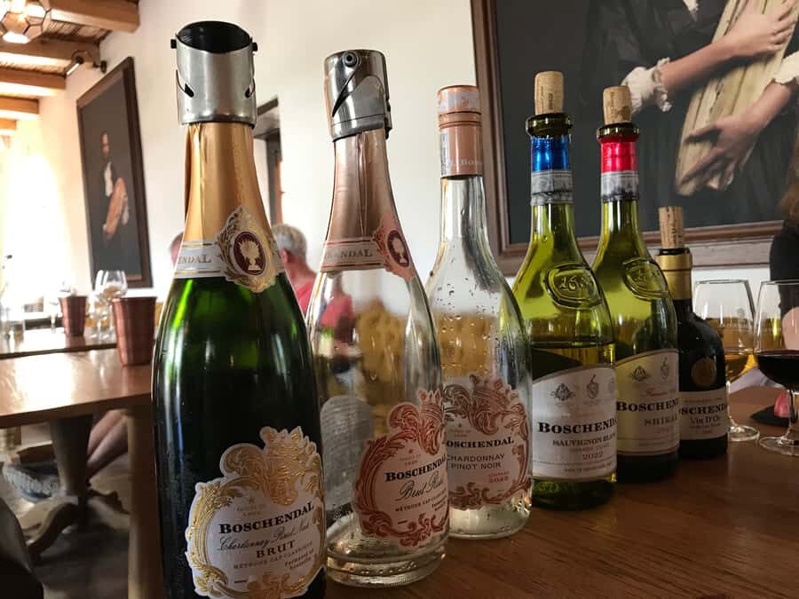 Cape Town: Full-Day Stellenbosch and Franschhoek Wine Tour - Who this tour suits best (and who might want a different style)