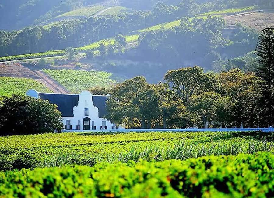 Cape Town: Giraffe House, Cheetah Encounter and Wine Tasting - Key Highlights You’ll Actually Care About