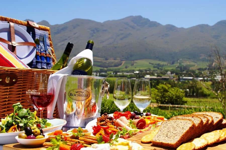 Cape Town: Giraffe House, Cheetah Encounter and Wine Tasting - Cape Town Guided Time: A Quick Primer Before You Go Out