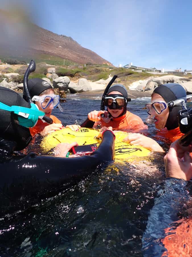 Cape Town: Great African Sea Forest Guided Snorkel - Snorkeling the Great African Sea Forest from False Bay