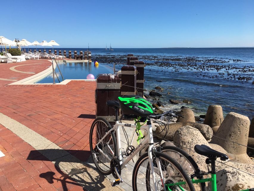 Cape Town Guided City Cycling Heritage Tour - Private Tour - Company Gardens: the heritage break with real atmosphere