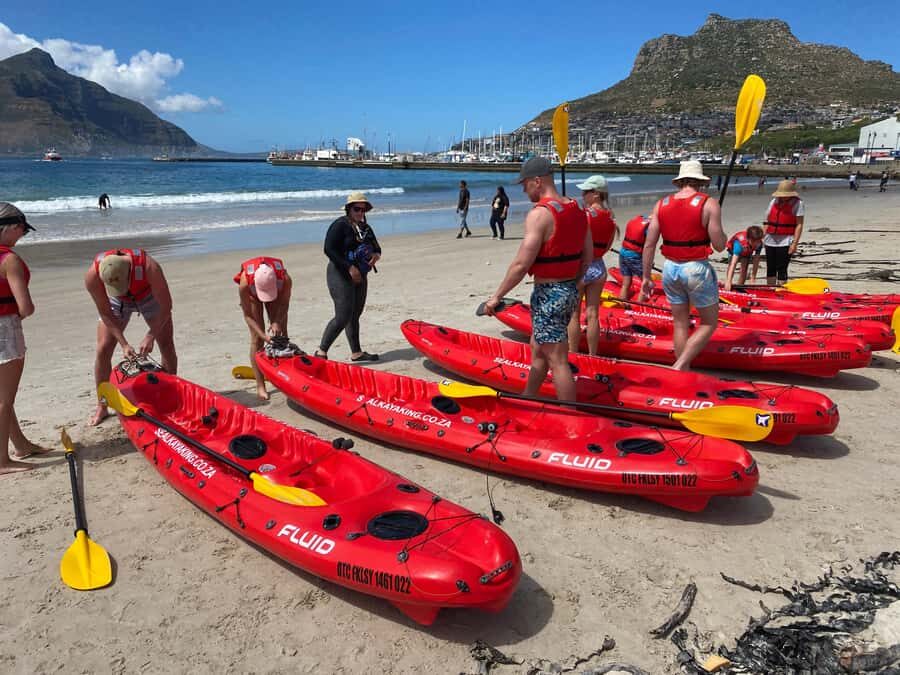 Cape Town: Guided Kayak Tour - Key things that make this kayak tour worth your time