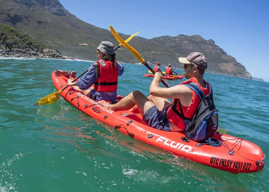 Cape Town: Guided Kayak Tour - Hout Bay by kayak: the parts you’ll remember