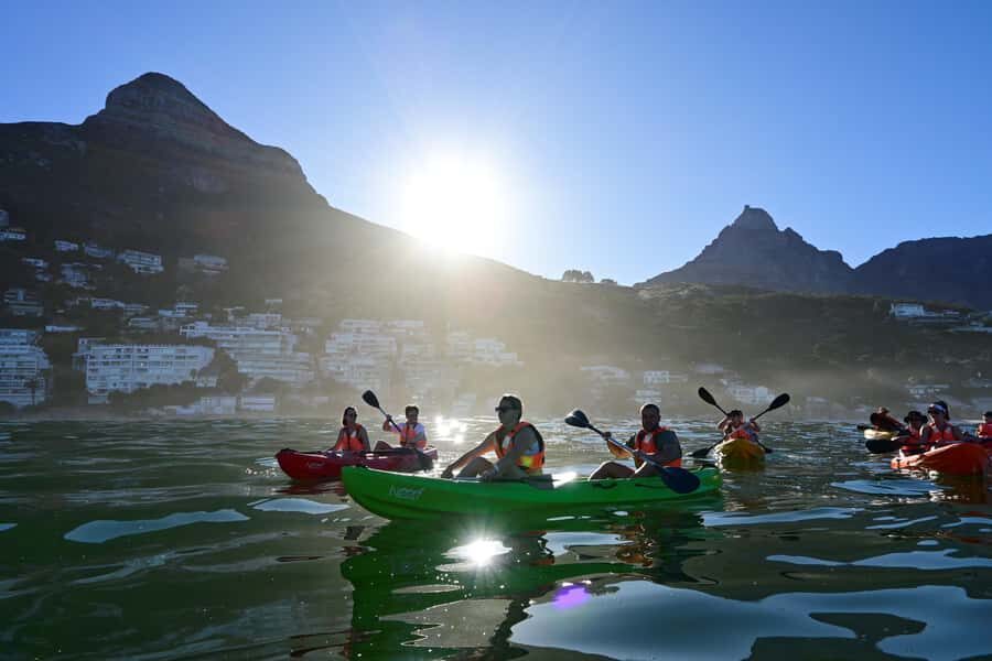 Cape Town: Guided Kayak Tour of Clifton Beaches & The Coast - Key Points to Know Before You Go