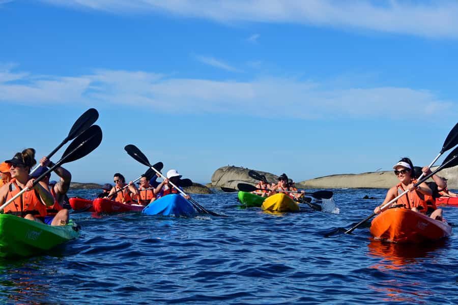 Cape Town: Guided Kayak Tour of Clifton Beaches & The Coast - Why Clifton’s Coast Changes When You Kayak