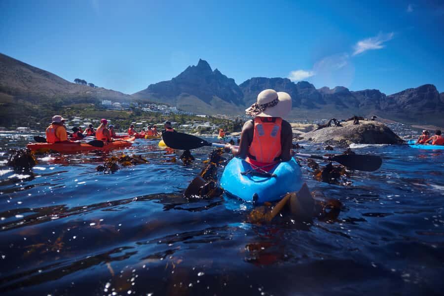 Cape Town: Guided Kayak Tour of Clifton Beaches & The Coast - The Return Paddle and Free Time: Don’t Rush the Last Stretch