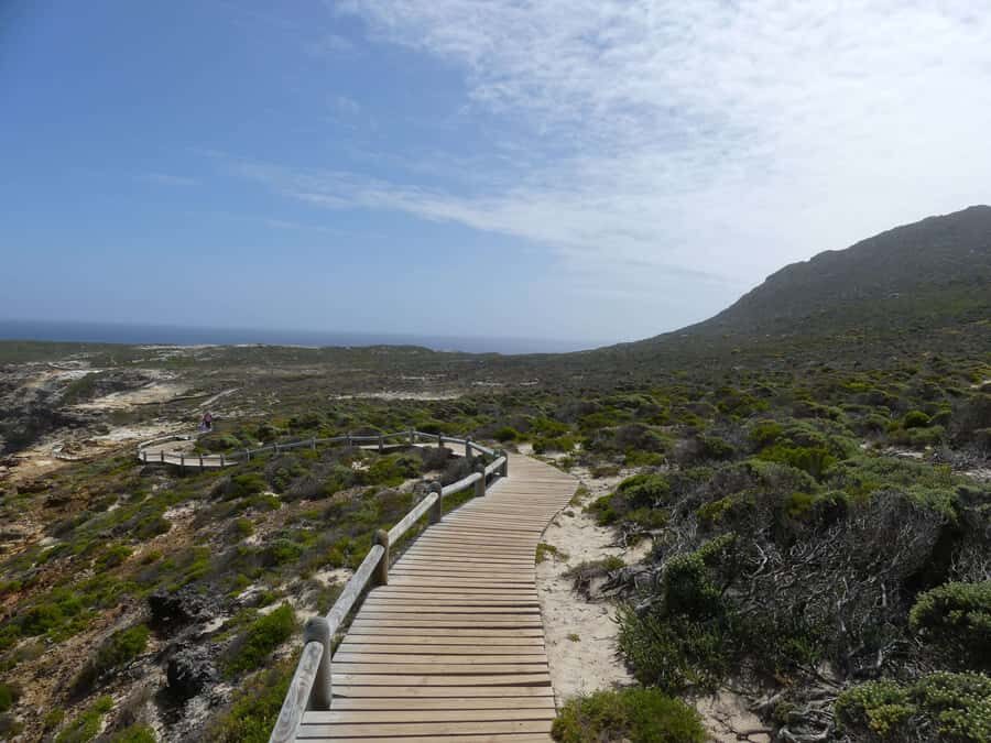 Cape Town: Guided Marine Wildlife Cruise and Cape Point Tour - Twelve Apostles, Hout Bay, and Chapmans Peak’s big coastal drama