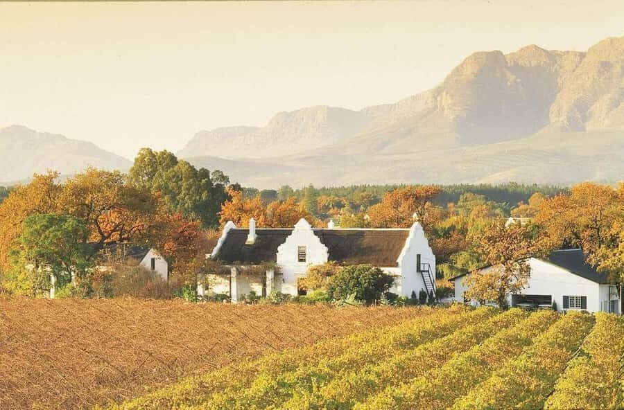 Cape Town: Guided Winelands Tour & Tasting in Stellenbosch - Price, Group Size, and the Comfort Factor That Makes a Half-Day Work