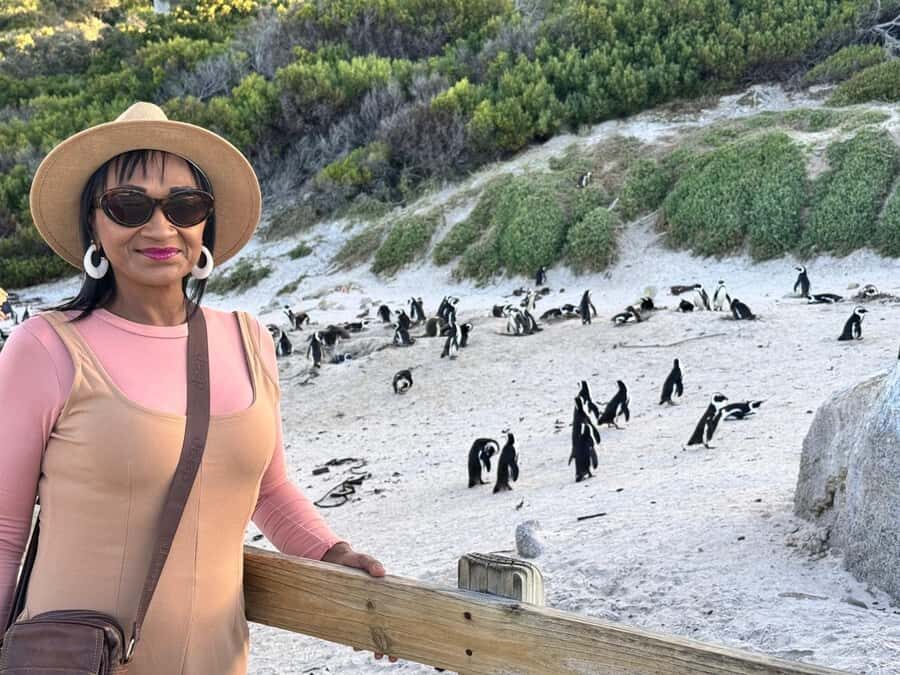 Cape Town: Half-Day Table Mountain and Penguin Group Tour - Key highlights to know before you go