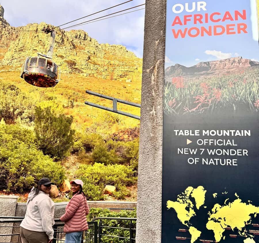 Cape Town: Half-Day Table Mountain and Penguin Group Tour - Who this tour suits (and who should skip it)
