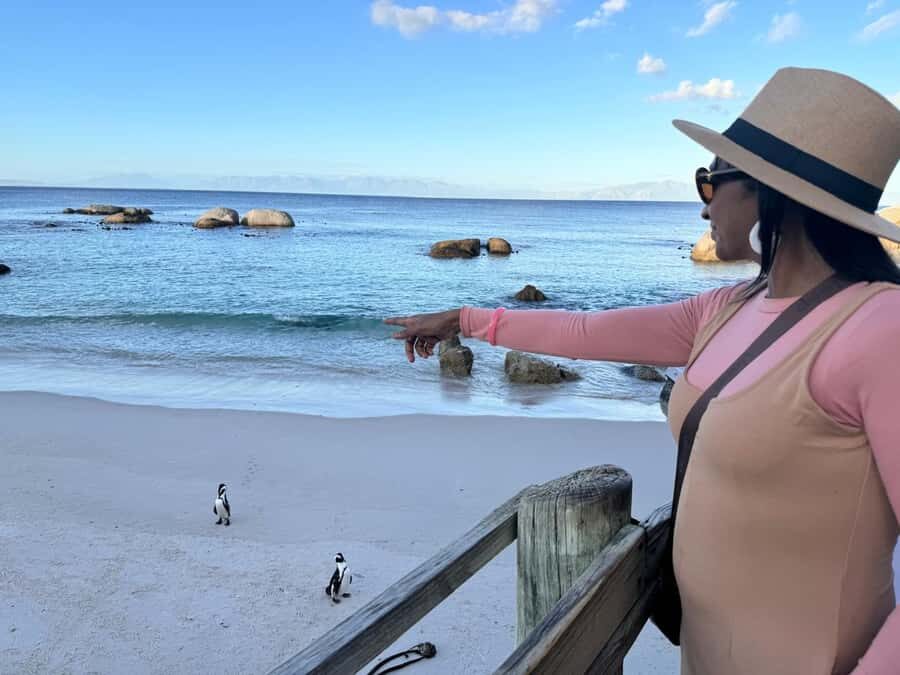 Cape Town: Half-Day Table Mountain and Penguin Group Tour - Table Mountain cable car: the views, the timing, and the weather reality