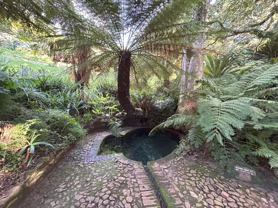 Cape Town: Half Day Table Mountain & Kirstenbosch Gardens - Price and value: $83 per person and what you’re actually buying
