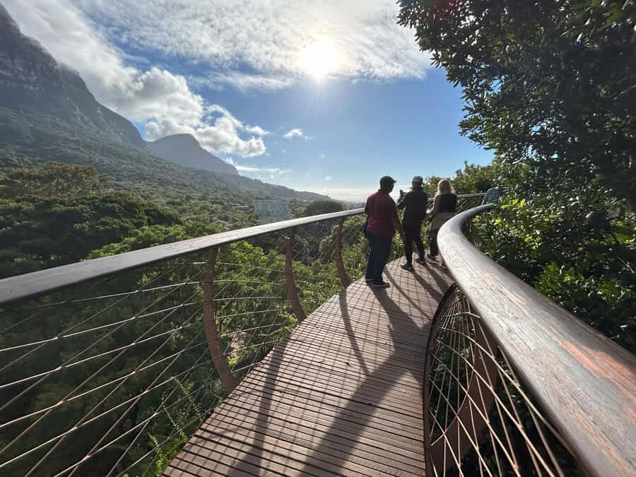 Cape Town: Half Day Table Mountain & Kirstenbosch Gardens - What the guide style looks like (and why it matters)
