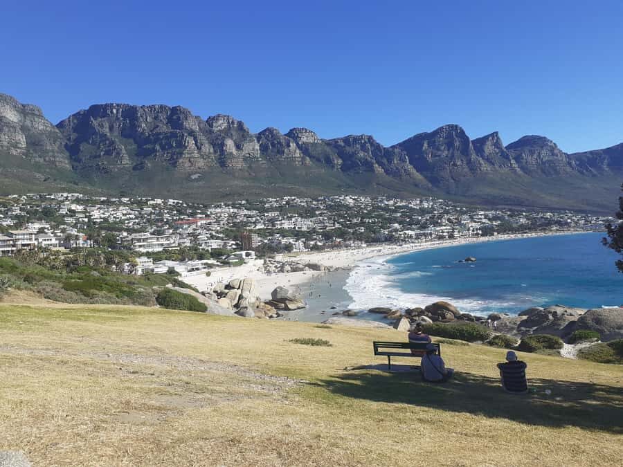 Cape Town: Halfday African Penguin tour - Logistics that actually affect your day