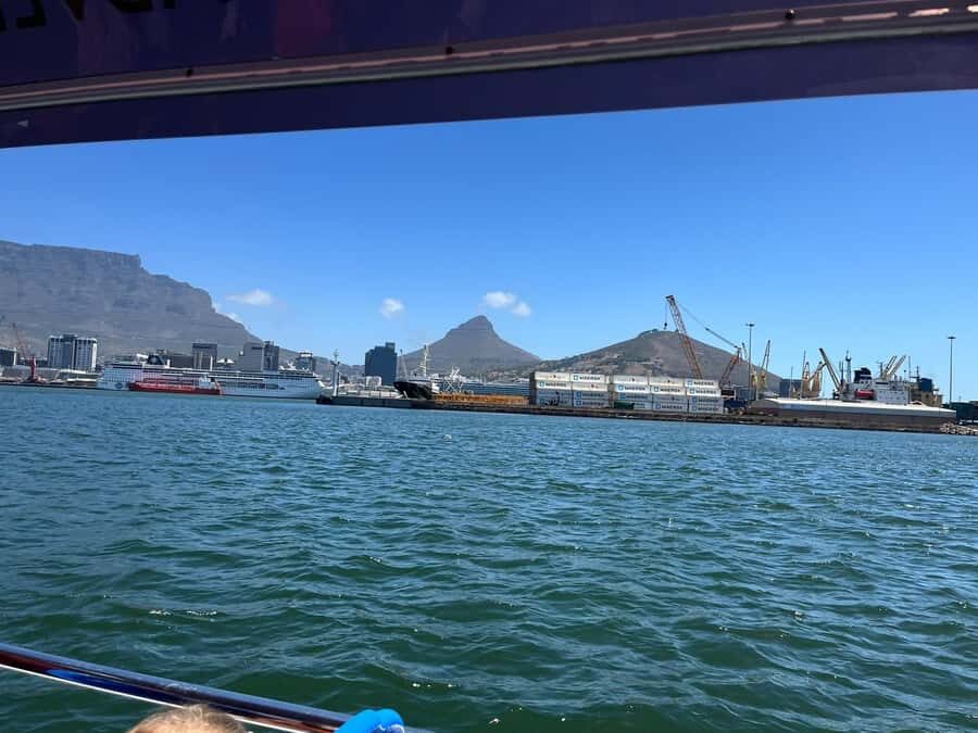 Cape Town: Harbor Cruise - Where You Meet: Wild Horizons and the V&A Waterfront Photo Stop