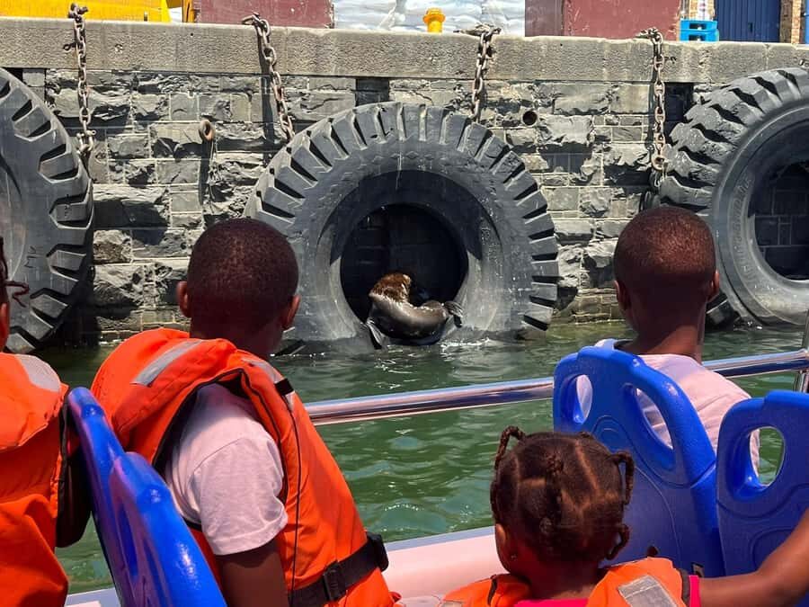 Cape Town: Harbor Cruise - Table Mountain Views From the Water: Photo Tips That Save Time