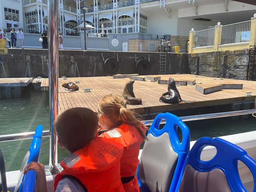Cape Town: Harbor Cruise - Price and Value: What $7 Buys You