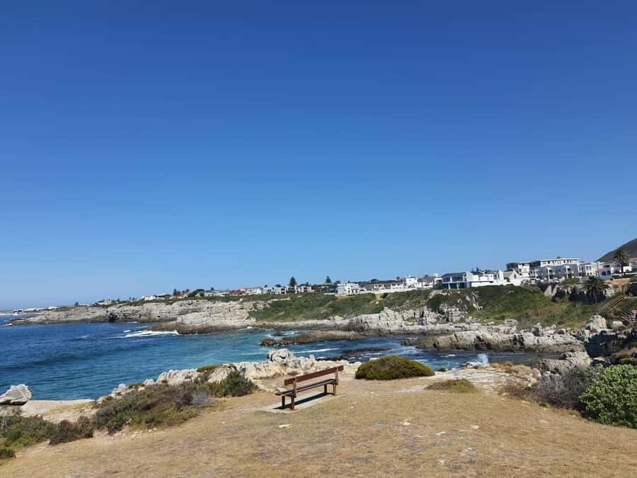 Cape Town: Hermanus Whale Watching Shared Boat & Penguins - Cape Town to Hermanus: a full-day route that actually makes sense