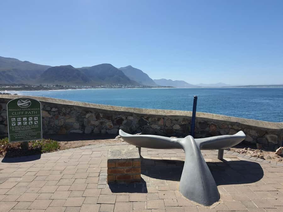 Cape Town: Hermanus Whale Watching Shared Boat & Penguins - New Harbour and the whale expert: your briefing sets up the best viewing