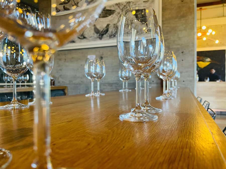 Cape Town: Hermanus Whale Watching Tour - Who should book this whale-and-wine day (and who should skip)