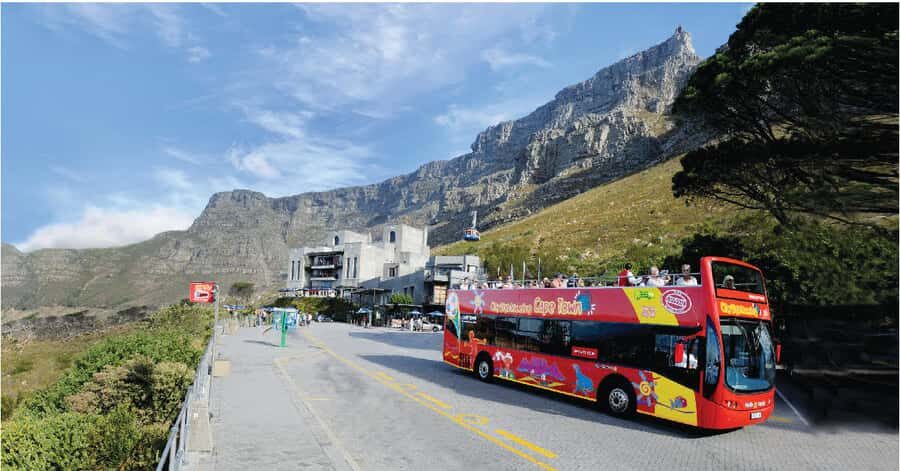 Cape Town: Hop-On Hop-Off Bus Tour with Optional Cruise - Where you’ll actually spend your time: Table Mountain to District Six