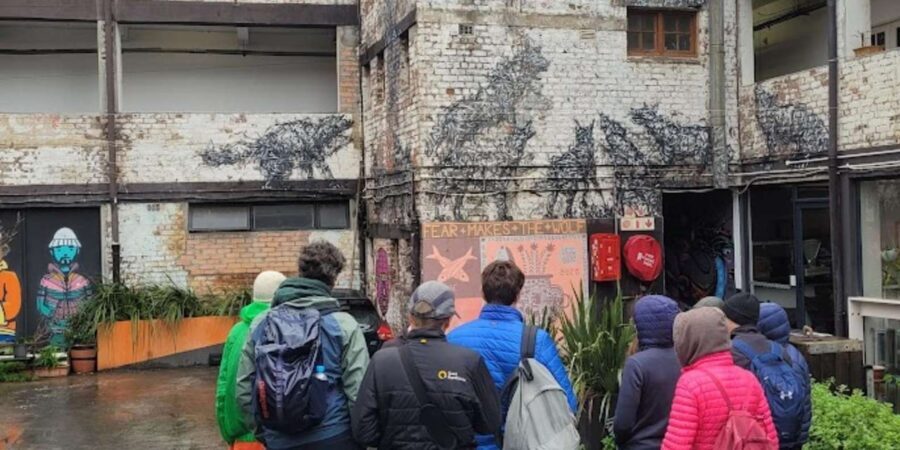 Cape Town: Inspiring sustainable change through Street Art - Who this tour suits best (and who should think twice)